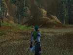 81 photo
