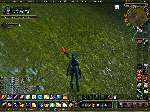 646 photo